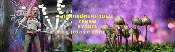 шишки Заводоуковск