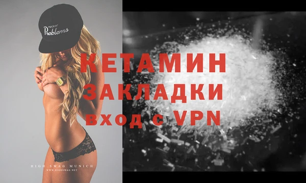 шишки Заводоуковск