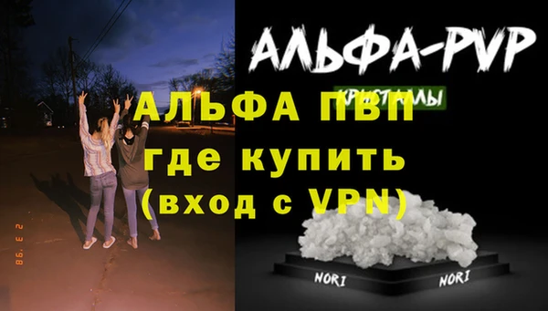 шишки Заводоуковск