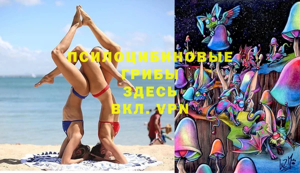 шишки Заводоуковск