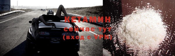 шишки Заводоуковск