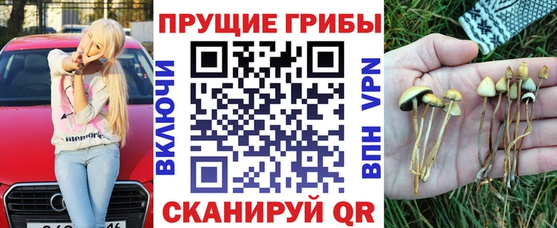кракен сайт  Отрадная  Псилоцибиновые грибы GOLDEN TEACHER 