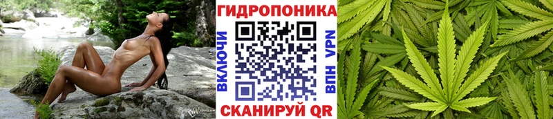 Канабис SATIVA & INDICA Отрадная